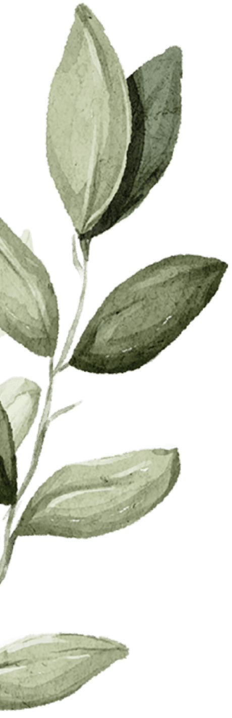 branch-1