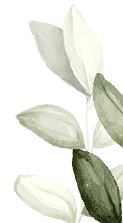 branch-2