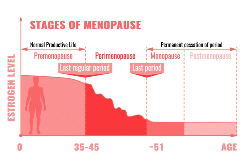 Stages of menopuase Doctor Snehal Patil, gynecologist in bandra east