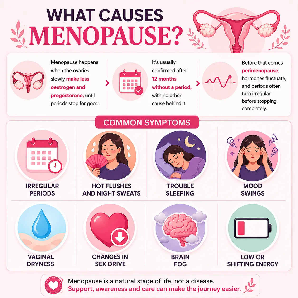 what causes menopause Doctor Snehal Patil, gynecologist in bandra east